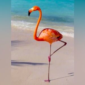 Thanks for popping in!! 🩷🦩